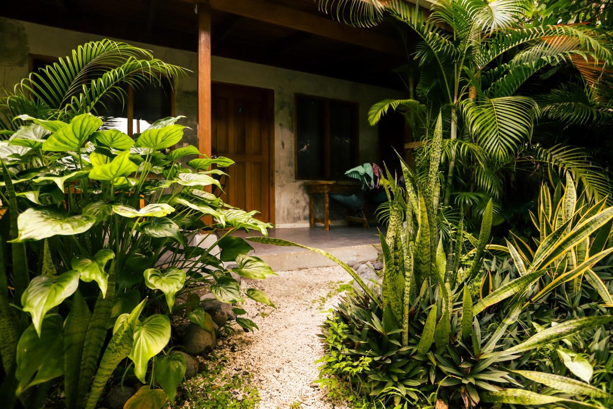 Cabinas Playa Surf Hostel Playa Santa Teresa  Exteriör bild